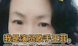 大婶爆料视频大全最新版,揭秘生活百态，笑料横生